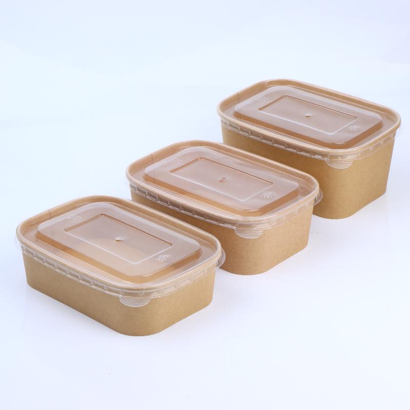 Meal Prep Bowl - 10 stuks vierkante wegwerp voedselcontainers van